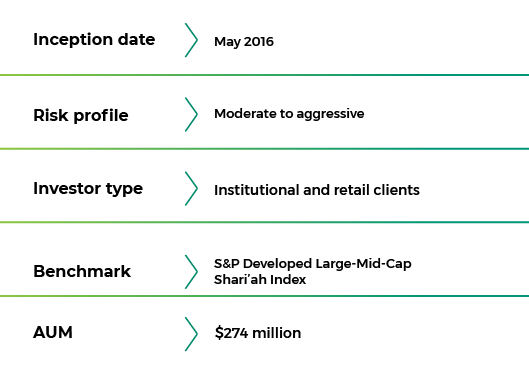 A structured fund facts displaying key portfolio details including risk profile, benchmark, and assets under management, giving investors a reference for why choose this portfolio. 