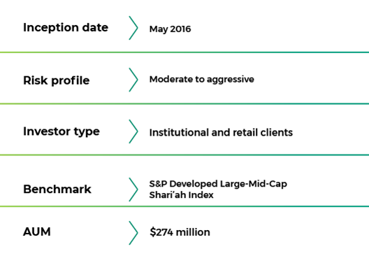 A structured fund facts displaying key portfolio details including risk profile, benchmark, and assets under management, giving investors a reference for why choose this portfolio. 