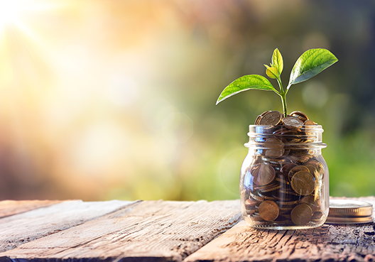 Who is this fund for?